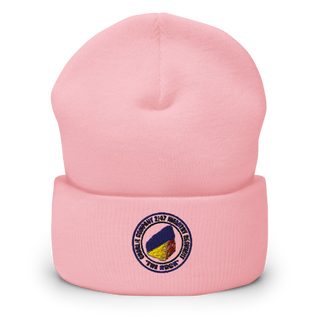 C Co 2-47 197th Infantry Brigade Cuffed Beanie | Yupoong 1501KC