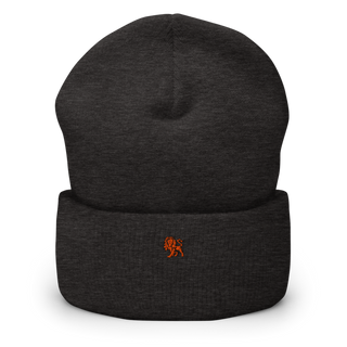 Lions Defense 6766522 Cuffed Beanie | Yupoong 1501KC