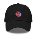CEET Dad hat
