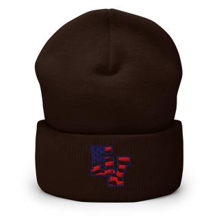 Patriots Cuffed Beanie | Yupoong 1501KC
