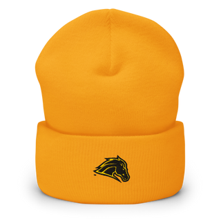 Metea Valley High School Cheer 96396999 Cuffed Beanie | Yupoong 1501KC