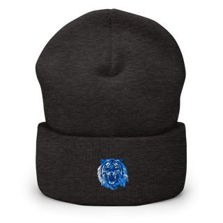Tigers 5765428 Cuffed Beanie | Yupoong 1501KC