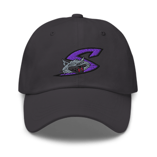 Falcon Middle School Basketball 65038956 Classic Dad Hat | Yupoong 6245CM