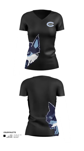 Womens Short Sleeve Vneck Shirt, Clarksburg High School, , Teamtime, Team time, sublimation, custom sports apparel, team uniforms, spirit wear, spiritwear, sports uniforms, custom shirts, team store, custom team store, fundraiser sports, apparel fundraiser