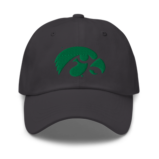 D-R Falcons 66653623 Classic Dad Hat | Yupoong 6245CM