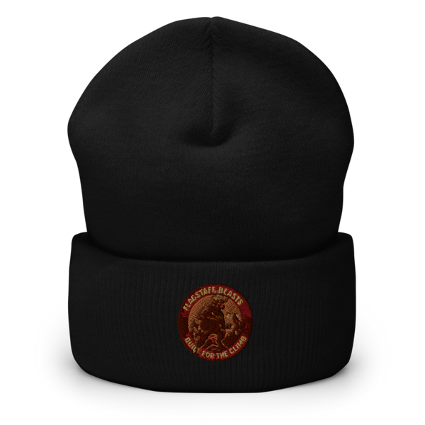 Flagstaff Recruiting 91126622 Cuffed Beanie | Yupoong 1501KC