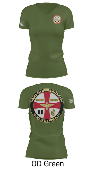 Womens Short Sleeve Vneck Shirt, Echo 2-501st GSAB, , Teamtime, Team time, sublimation, custom sports apparel, team uniforms, spirit wear, spiritwear, sports uniforms, custom shirts, team store, custom team store, fundraiser sports, apparel fundraiser