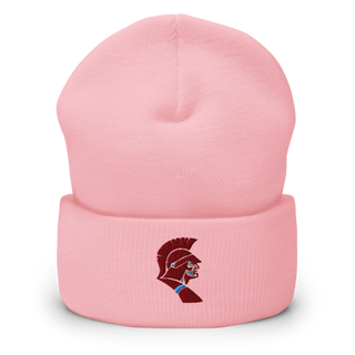 Saint Joseph-Ogden High School Soccer Cuffed Beanie | Yupoong 1501KC