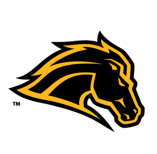 Metea Valley High School Cheer 96396999 Stainless Steel Water Bottle with a Straw Lid