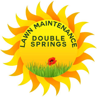 Double Springs Lawn Maintenance 68991877 Stainless Steel Water Bottle with a Straw Lid
