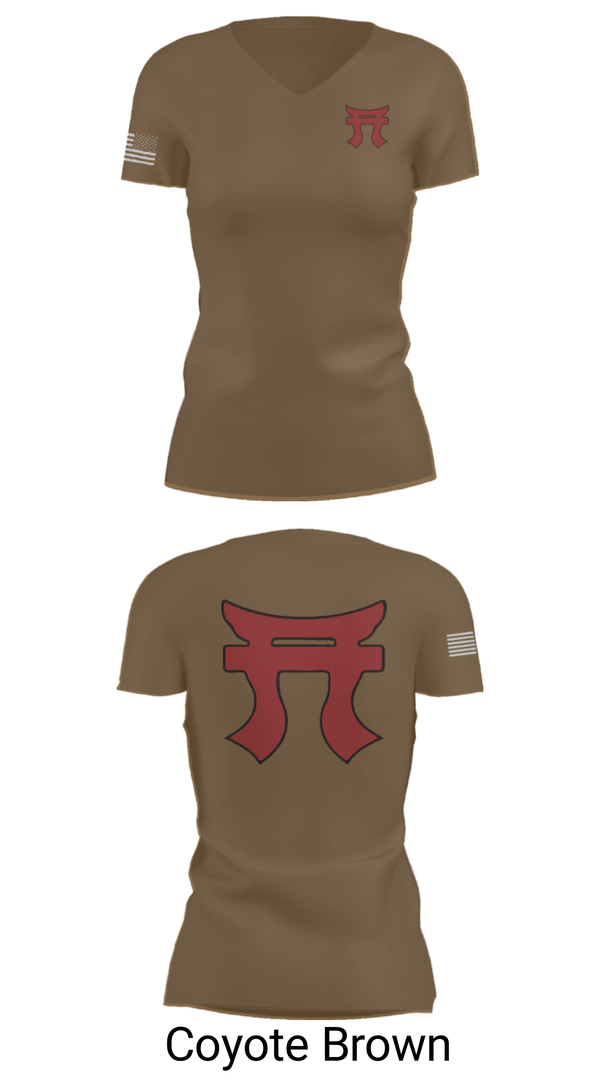 Women's Short Sleeve Vneck Shirt, 187th Iron Rakkasans, Army, Teamtime, Team time, sublimation, custom sports apparel, team uniforms, spirit wear, spiritwear, sports uniforms, custom shirts, team store, custom team store, fundraiser sports, apparel fundraiser
