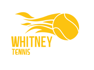 Whitney Boys Tennis 34365674 Stainless Steel Water Bottle with a Straw Lid