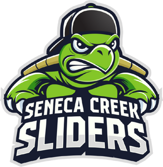 Seneca Creek Sliders Stainless Steel Water Bottle with a Straw Lid