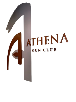Athena Gun Club 10073430 Stainless Steel Water Bottle with a Straw Lid