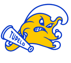 Tupelo Varsity Cheer 97281390 Stainless Steel Water Bottle with a Straw Lid