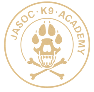 Social k9 academy 95523543 Stainless Steel Water Bottle with a Straw Lid