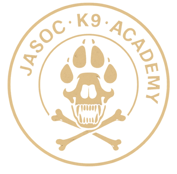 Social k9 academy 95523543 Stainless Steel Water Bottle with a Straw Lid