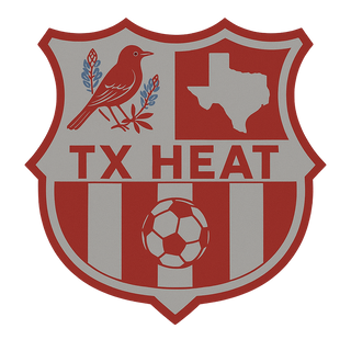 TX HEAT 2370396 Stainless Steel Water Bottle with a Straw Lid