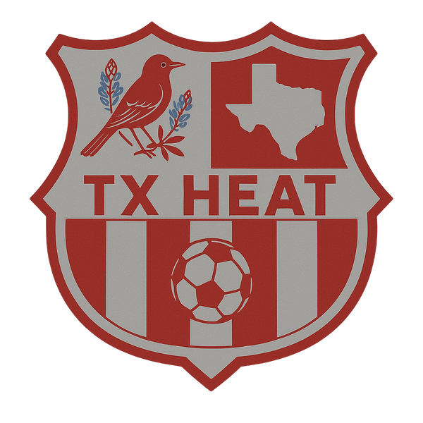 TX HEAT 2370396 Stainless Steel Water Bottle with a Straw Lid