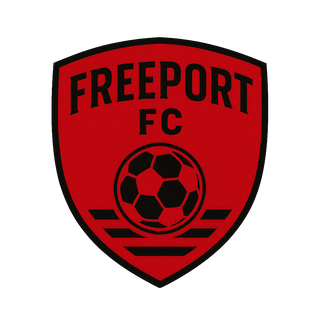 Freeport FC 77823295 Stainless Steel Water Bottle with a Straw Lid