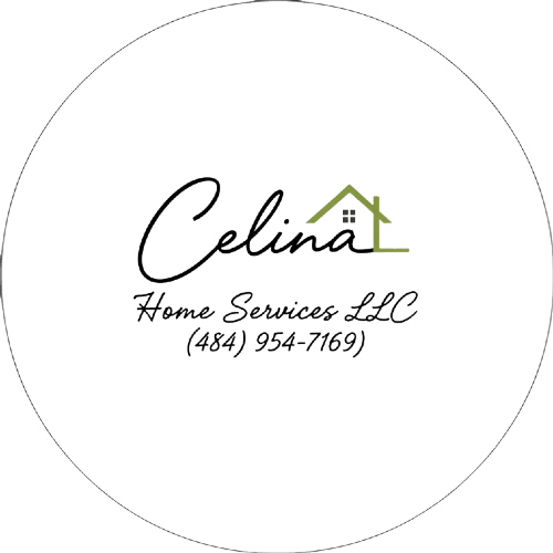 Celina Home Services LLC Stainless Steel Water Bottle with a Straw Lid