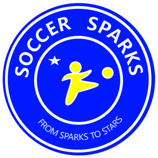 Soccer Sparks 51434344 Stainless Steel Water Bottle with a Straw Lid
