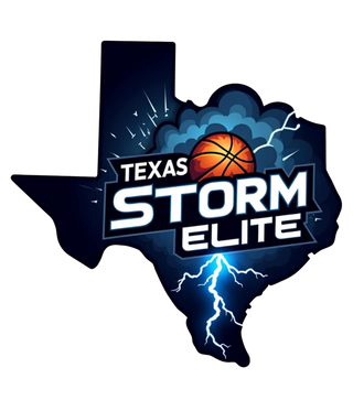 Texas Storm 10956956 Stainless Steel Water Bottle with a Straw Lid