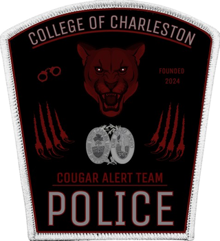 Cougar Alert Team 58095396 Stainless Steel Water Bottle with a Straw Lid