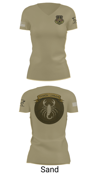 Women's Short Sleeve Vneck Shirt, 380 ESFS, , Teamtime, Team time, sublimation, custom sports apparel, team uniforms, spirit wear, spiritwear, sports uniforms, custom shirts, team store, custom team store, fundraiser sports, apparel fundraiser