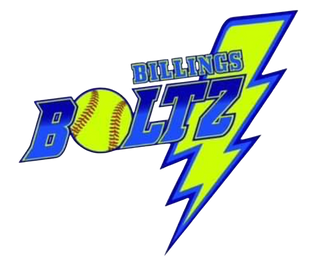 Billings Boltz 47991860 Stainless Steel Water Bottle with a Straw Lid