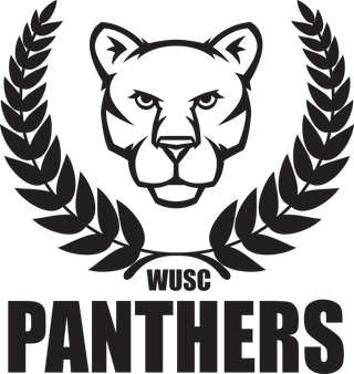 Panthers 50004080 Stainless Steel Water Bottle with a Straw Lid