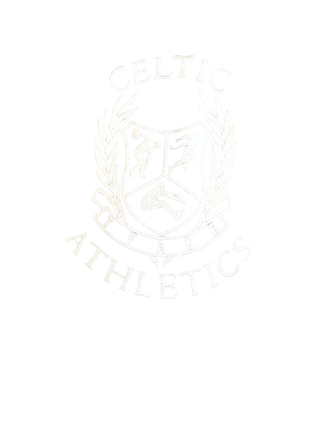 Celtic Athletics 57383448 Stainless Steel Water Bottle with a Straw Lid