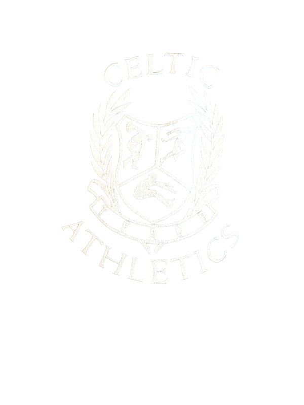 Celtic Athletics 57383448 Stainless Steel Water Bottle with a Straw Lid