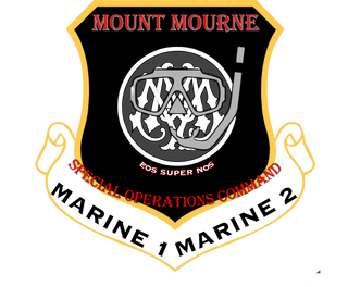 MOUNT MOURNE MARINE DIVISION 37052679 Stainless Steel Water Bottle with a Straw Lid