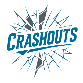CRASHOUTS 16186938 Stainless Steel Water Bottle with a Straw Lid