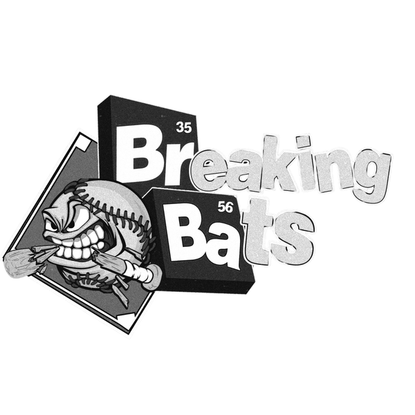 Breaking Bats 72578241 Stainless Steel Water Bottle with a Straw Lid