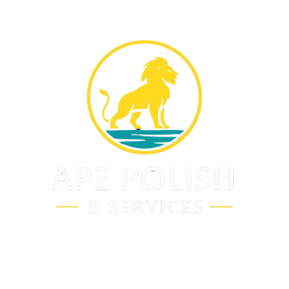 APE Polish & Service 44310358 Stainless Steel Water Bottle with a Straw Lid