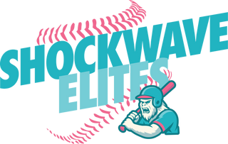 Shockwave Elites Stainless Steel Water Bottle with a Straw Lid