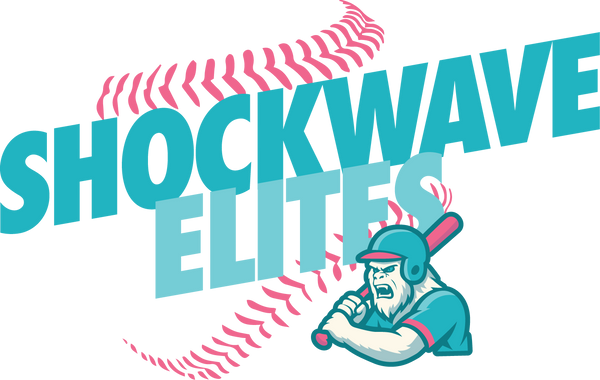 Shockwave Elites Stainless Steel Water Bottle with a Straw Lid