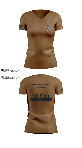Women's Short Sleeve Vneck Shirt, Eco 2/160th SOAR (Abn), Army, Teamtime, Team time, sublimation, custom sports apparel, team uniforms, spirit wear, spiritwear, sports uniforms, custom shirts, team store, custom team store, fundraiser sports, apparel fundraiser