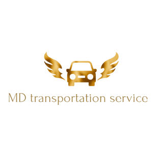 Md transportation service LLC 11335199 Stainless Steel Water Bottle with a Straw Lid