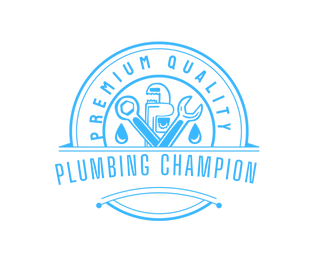Plumbing Champion 91247787 Stainless Steel Water Bottle with a Straw Lid