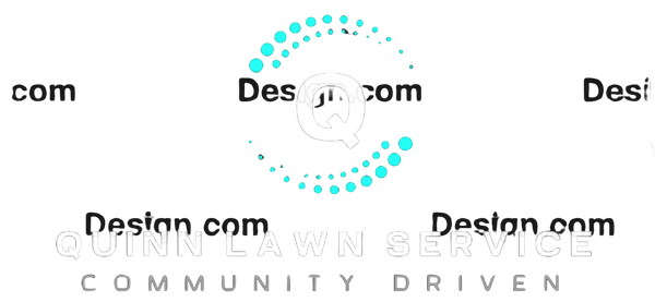 Quinn lawn care 50942493 Stainless Steel Water Bottle with a Straw Lid