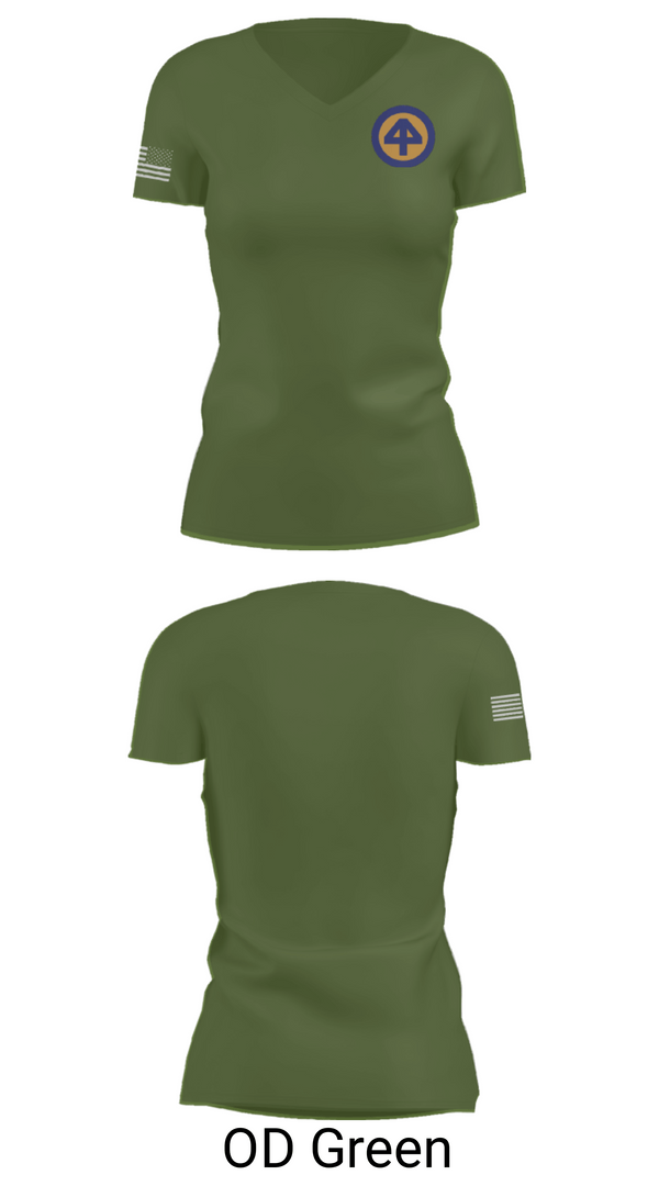 Women's Short Sleeve Vneck Shirt, A CO 2-113th, Army, Teamtime, Team time, sublimation, custom sports apparel, team uniforms, spirit wear, spiritwear, sports uniforms, custom shirts, team store, custom team store, fundraiser sports, apparel fundraiser