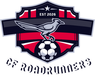 CF Roadrunners Stainless Steel Water Bottle with a Straw Lid