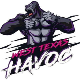 West texas Havoc Stainless Steel Water Bottle with a Straw Lid