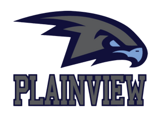 Plainview Hawks 8354559 Stainless Steel Water Bottle with a Straw Lid