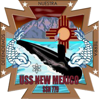 USS New Mexico A-Gang Stainless Steel Water Bottle with a Straw Lid