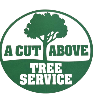 Acut above tree service 53536573 Stainless Steel Water Bottle with a Straw Lid