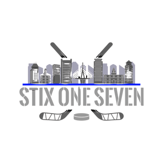 Stix One Seven Stainless Steel Water Bottle with a Straw Lid